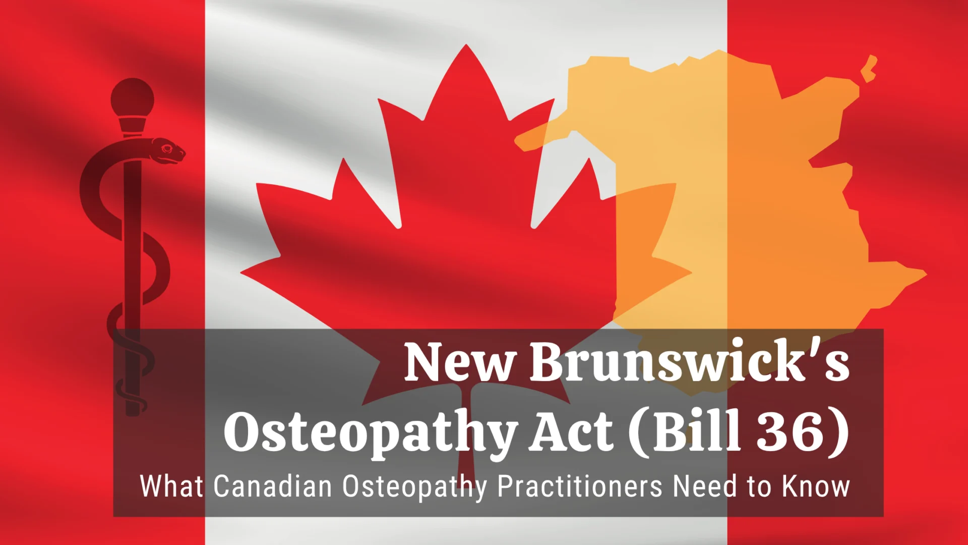 How Bill 36 Is Reshaping Osteopathy in New Brunswick and Beyond.